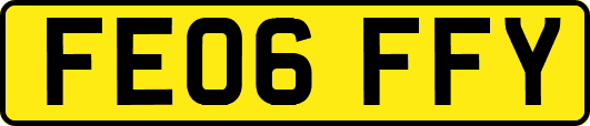 FE06FFY
