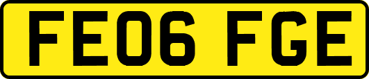 FE06FGE