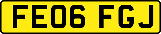 FE06FGJ