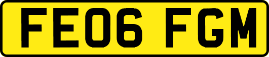 FE06FGM