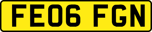 FE06FGN