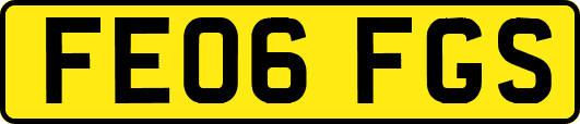 FE06FGS