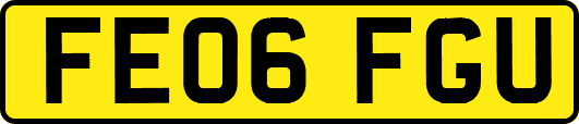 FE06FGU