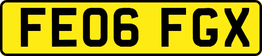 FE06FGX