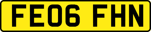 FE06FHN