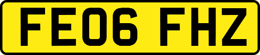 FE06FHZ