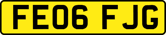 FE06FJG