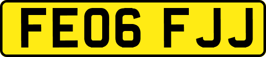 FE06FJJ