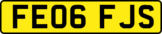 FE06FJS
