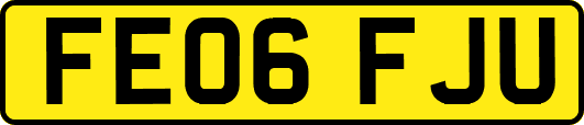 FE06FJU