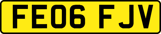 FE06FJV