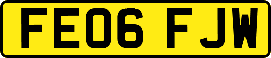 FE06FJW