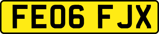 FE06FJX
