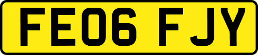 FE06FJY