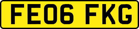 FE06FKG