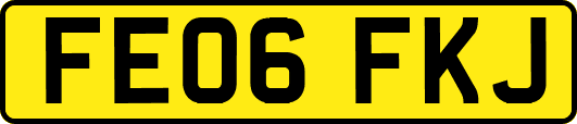FE06FKJ