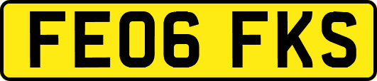 FE06FKS