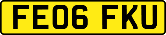 FE06FKU