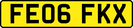 FE06FKX
