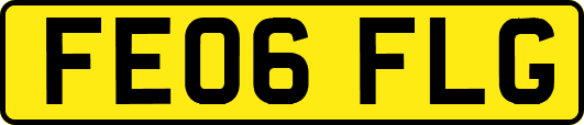 FE06FLG