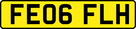 FE06FLH