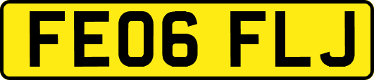 FE06FLJ