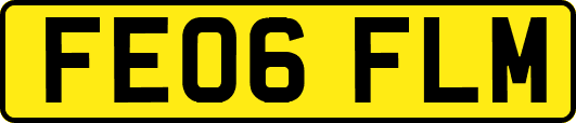 FE06FLM