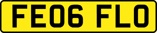 FE06FLO