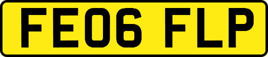 FE06FLP