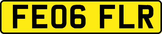FE06FLR