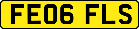 FE06FLS