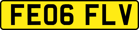 FE06FLV