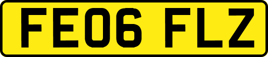 FE06FLZ