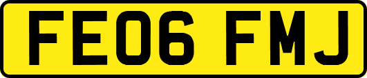 FE06FMJ
