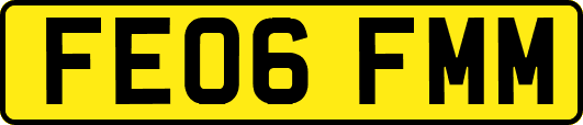 FE06FMM