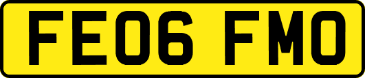 FE06FMO