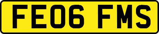 FE06FMS