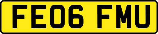 FE06FMU