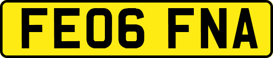 FE06FNA