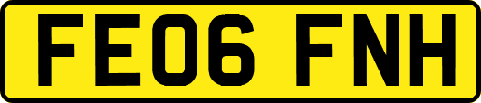 FE06FNH