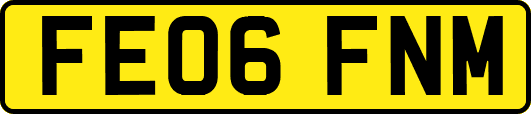 FE06FNM