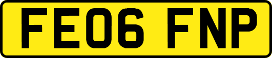 FE06FNP