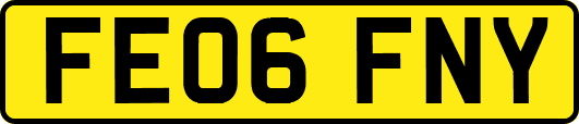FE06FNY