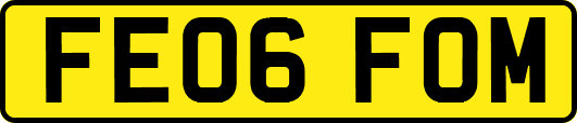 FE06FOM