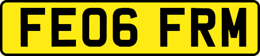 FE06FRM