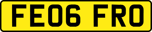 FE06FRO