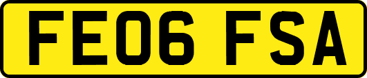 FE06FSA