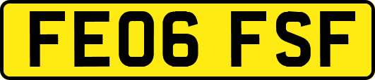 FE06FSF