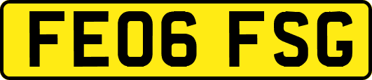FE06FSG