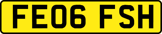 FE06FSH